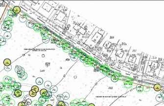 Powstanie aleja lipowa