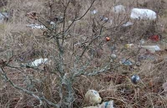 Dzikie wysypiska - Apel do Mieszkańców