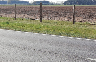 Budowa ogrodzenia w obszarze ASF