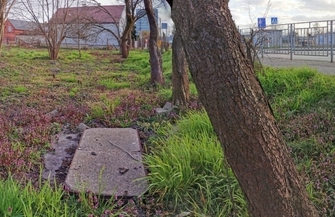 Ile stawów jest we Wschowie FOTOREPORTAŻ