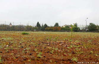 Przetarg na przebudowę boiska w SP 3 ogłoszony