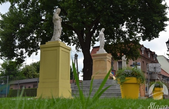 Zielony dywan w centrum Sławy