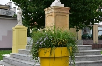 Zielony dywan w centrum Sławy