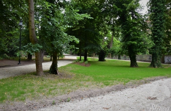 Raport ze sławskiego parku