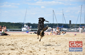 Frisbee na sławskiej plaży