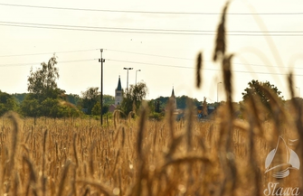 Żniwa dobiegają końca