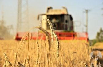 Żniwa dobiegają końca