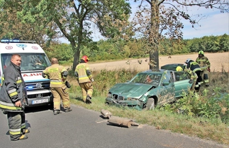 Zdarzenie drogowe na trasie Stare Strącze - Krzepielów