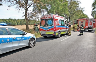 Zdarzenie drogowe na trasie Stare Strącze - Krzepielów