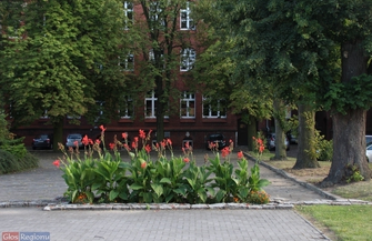 Rajd Katyński we Wschowie