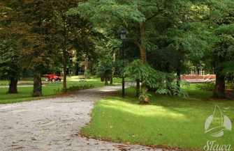 Nowe nasadzenia w Parku