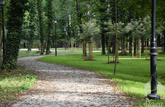 Nowe nasadzenia w Parku