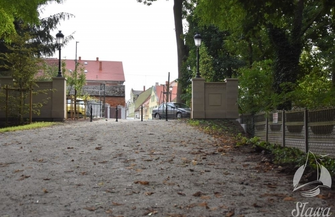 Nowe nasadzenia w Parku