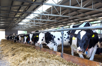 75-lecie HZZ Osowa Sień