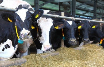 75-lecie HZZ Osowa Sień