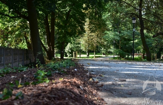 Więcej zieleni w sławskim parku