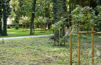 Więcej zieleni w sławskim parku