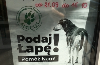 Trzecia edycja zbiórki dla podopiecznych Amicus.