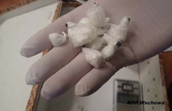 Wschowscy policjanci skuteczni w zwalczaniu przestępczości narkotykowej ZDJĘCIA