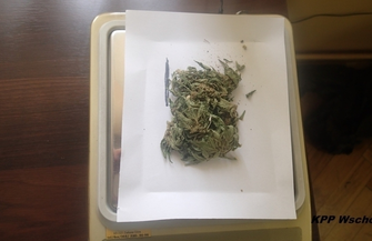 Wschowscy policjanci skuteczni w zwalczaniu przestępczości narkotykowej ZDJĘCIA