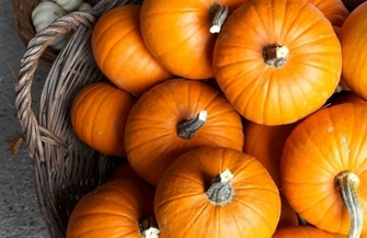 Smakowity konkurs od SCKiW