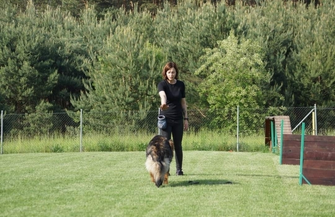 Dni Otwarte w Szkole Dla Psów - JOY we Wschowie