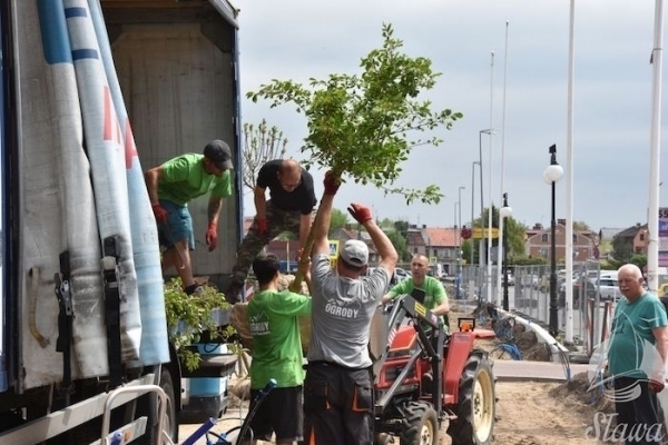 Więcej zieleni mniej betonu ZDJĘCIA