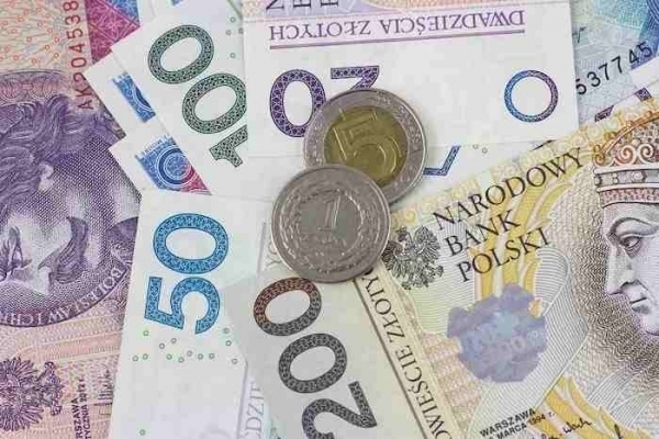Zdjęcie