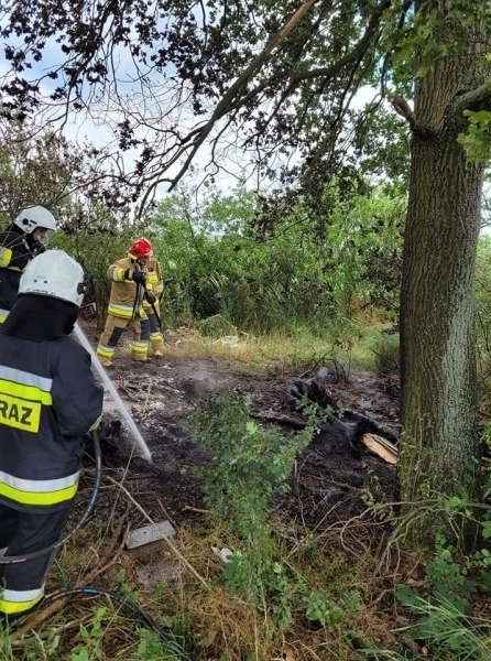 Ktośpodpalił śmieci w Krzepielowie ZDJĘCIA