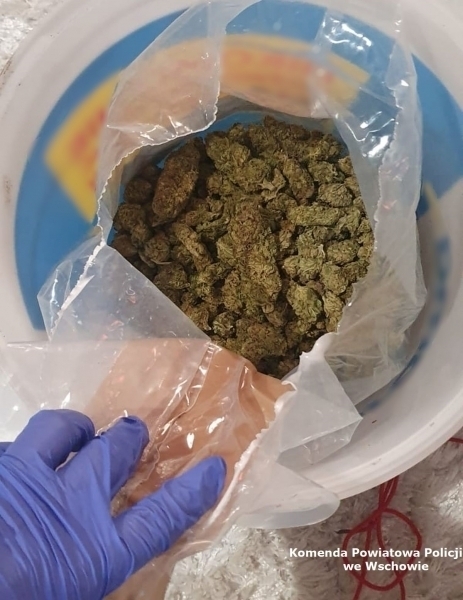 Wschowscy policjanci zabezpieczyli ponad 2 kilogramy narkotyków