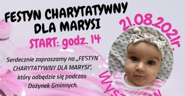 Zdjęcie 1: Festyn w Wyszanowie