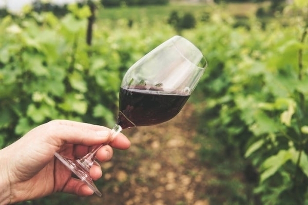 Butelki na wino