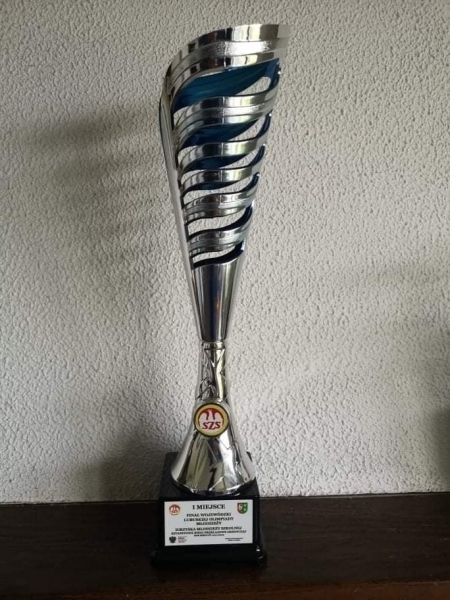 Sukcesy sportowe SP 1 ZDJĘCIA