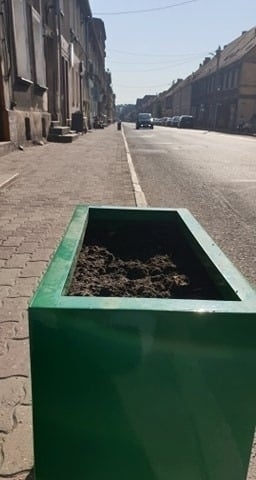 Nie uwierzysz. Ktośwykopuje kwiaty z miejskich gazonów