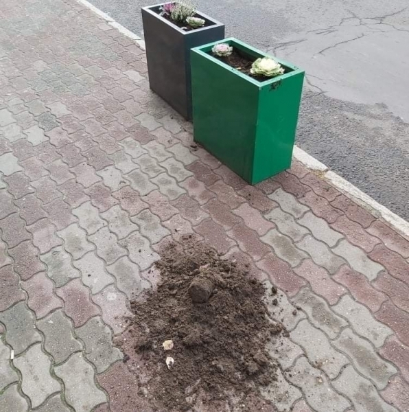 Seryjny wandal we Wschowie