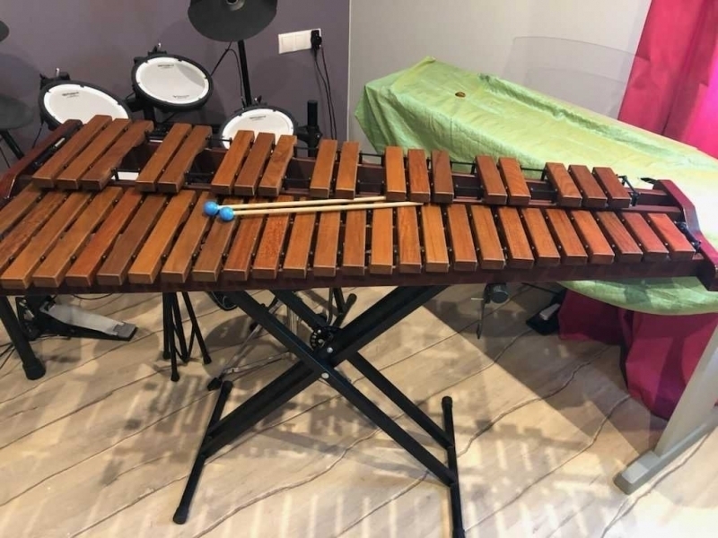 Stowarzyszenie Bis zakupiło nowe instrumenty ZDJĘCIA