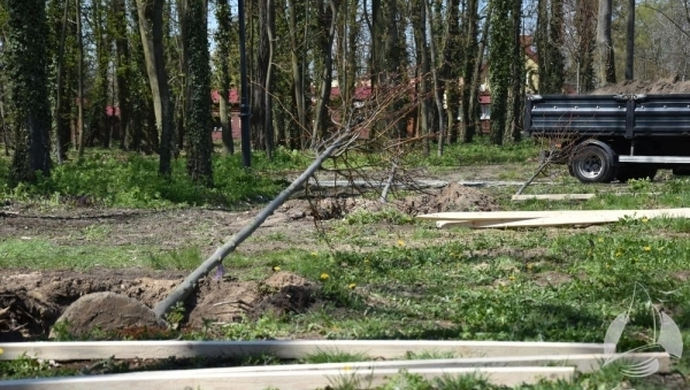 Więcej zieleni w Sławie