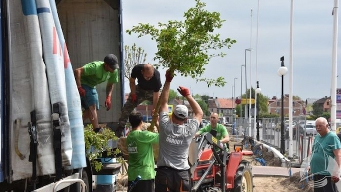 Więcej zieleni mniej betonu [ZDJĘCIA]