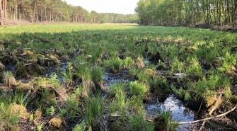 Na ratunek przyrodzie