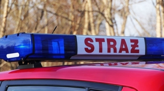 Niemądre zachowania ludzi nasilają się.