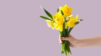 Żółte żonkile w klapach ubrań