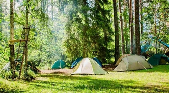 Lasy Państwowe udostępniają tereny na biwaki namiotowe.