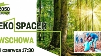 Wschowa ma najczystszy odcinek Drogi św. Jakuba 