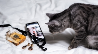 Wygodne zakupy dla kota online