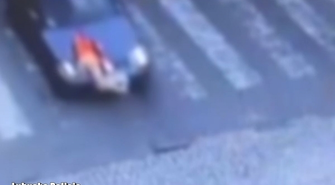 Dziecko potrącone na pasach. 