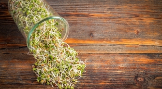 Sklep z nasionami Legutko