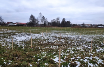 84. Mistrzostwa Polski w kolarstwie przełajowym we Włoszakowicach ZAPOWIEDŹ