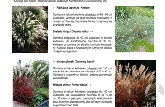 Umowa podpisana niebawem ruszą prace