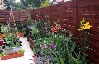 Wiosna w mieście 2021