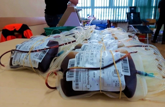 Podzielili się życiem